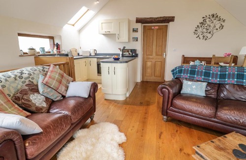 Machynlleth House | Y Daflod