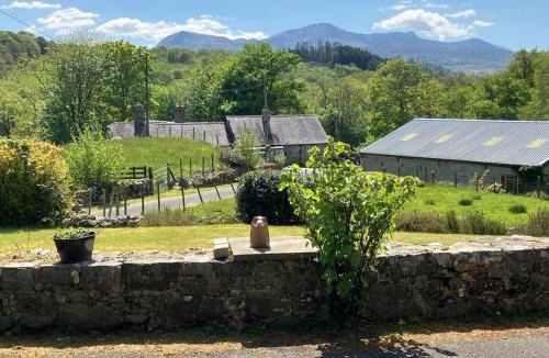 Dolgellau House | Y Fedw Wen
