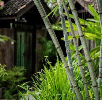 Timbulharjo Resort | Yabbiekayu Eco-Bungalows