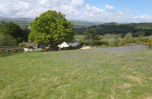 Moretonhampstead Bed & Breakfast | Yarningale