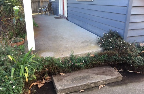 Yarram Cottage | Yarram Cottage - Art and Accommodation