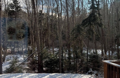 Peaks Island Cabin | Yearround Cottage on Peaks Island