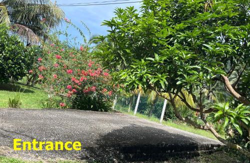 Lumut Cabin | Yellow Cube at Lumut Cube Homestay Kontena