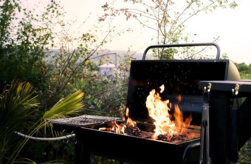 Cropthorne Other | Yellow Egg