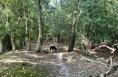 Landford House | Yew Tree Cottage
