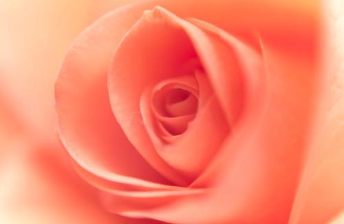 Litton Mill Hostel | YHA Ravenstor