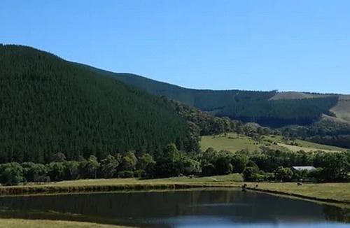 Ovens House | Yolly's Tiny House Holiday Accommodation