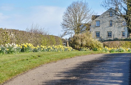 Kirkmichael Cottage | Yonderton McGill Cottage - UK11182