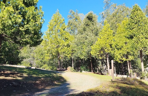 Mariposa House | Yosemite Getaway | Starlink + Forest Views