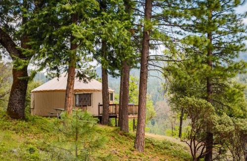 Harden Flat Resort | Yosemite Lakes Hillside Yurt 5