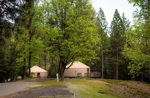 Harden Flat Resort | Yosemite Lakes Hillside Yurt 14