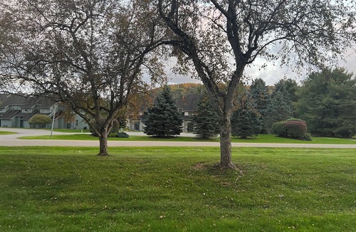 Ellicottville House | You belong at Wildflower!
