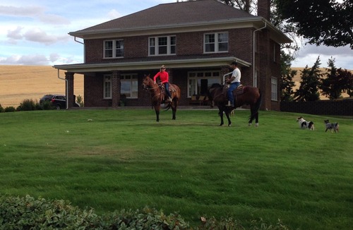Whitman County House | Young Country Manor
