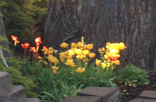 Whitman County House | Young Country Manor