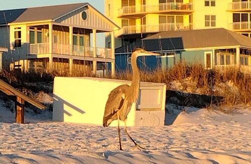 Navarre Beach Condo | Your Beachfront Oasis Awaits!