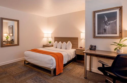 Moss Landing Hotel | Your Coastal Hideaway: Queen Room