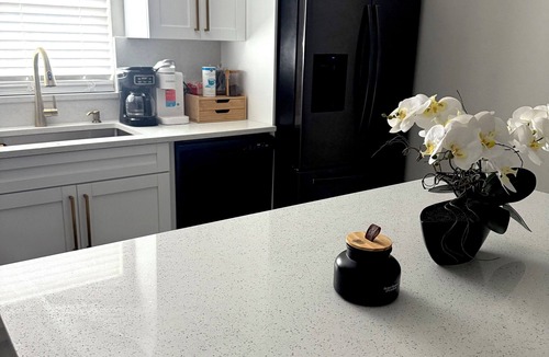 Lutz House | Your Forever Home
