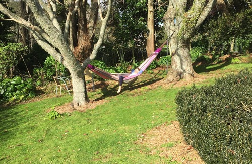 Puni Cottage | Your home away from home