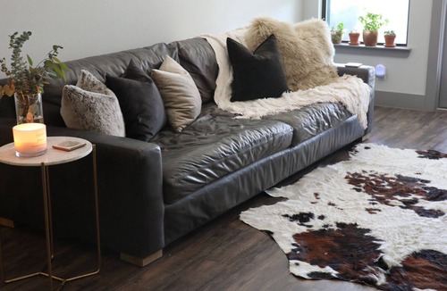 East Oak Hill Apartment | Your Modern + Comfy Home