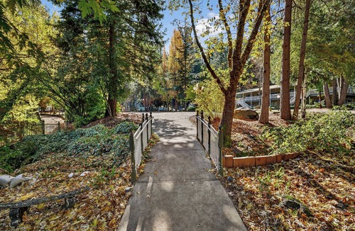 Nevada City Cottage | Your Quiet Escape, Hidden in the Woods