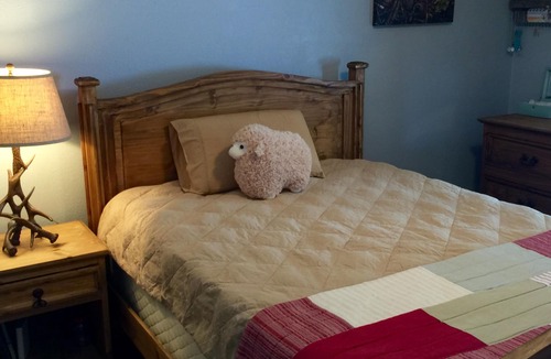 Florissant Cabin | Your scenic mountain getaway!