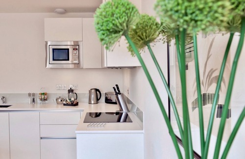 Cambridge Apartment | Your Space Apartments - Cambridge Place