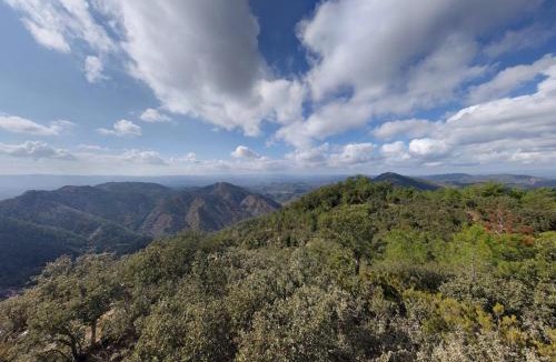 Vall De Almonacid Apartment | Your stylish retreat in Sierra Espadán