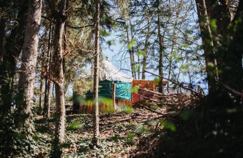 Prebois Apartment | Yourte Dans La Forêt