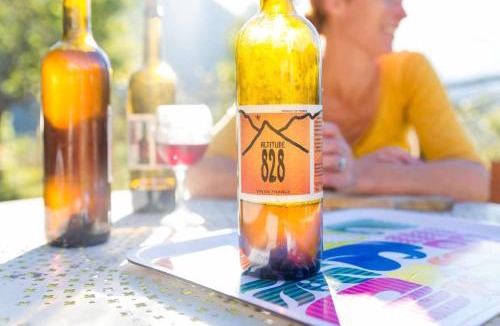 Prebois Apartment | Yourte Dans La Forêt