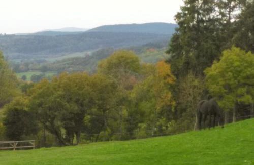 Magnien Other | Yourte et nature