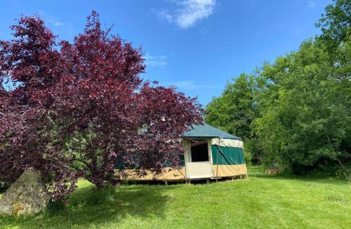 Montreal Other | Yourte Maison Oya