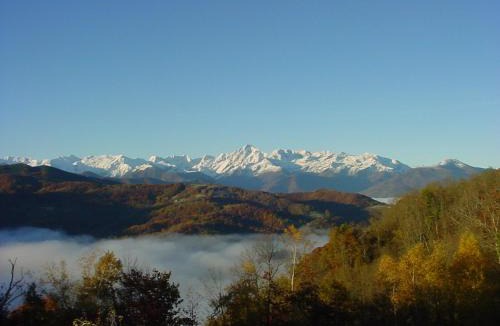 Biert Other | Yourte Rosane