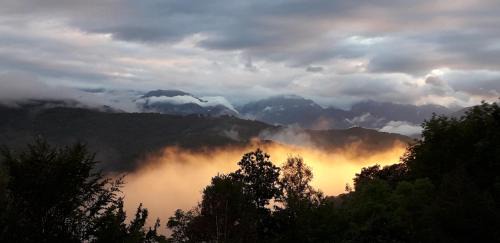 Biert Other | Yourte Rosane