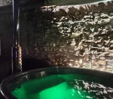 Merlas Bed & Breakfast | Ysalice