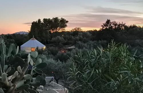Camarles Other | Yurta Mongola Delta del Ebro