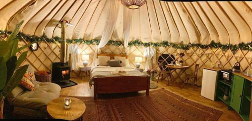 Ripon Other | Yurtshire Eavestone Lake - Beech