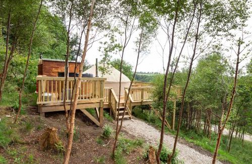 Ripon Cabin | Yurtshire Eavestone Lake - Birch Yurt