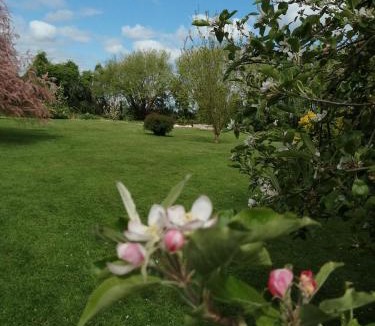 Saint-Ouen-du-Mesnil-Oger Bed & Breakfast | zénitude