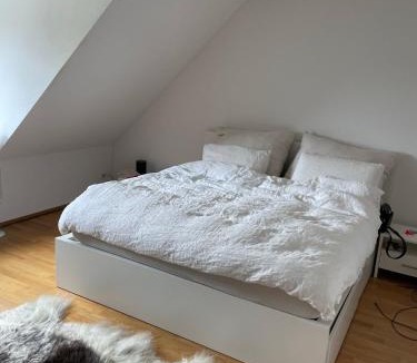 Wipkingen Apartment | Zürich 3 Zimmer Wohnung mit Dachterrasse