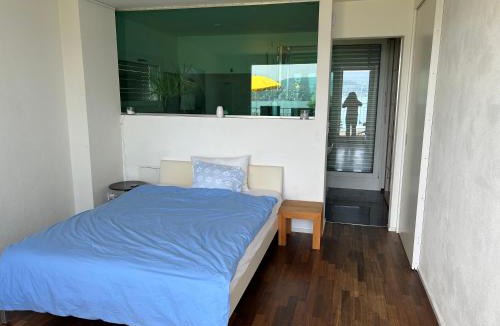 Wollishofen House | Zürichsee, Privatzimmer atemberaubender Aussicht