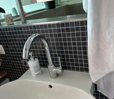 Wollishofen House | Zürichsee, Privatzimmer atemberaubender Aussicht