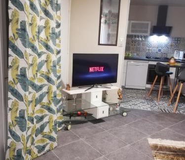 Plombiees-Les-Dijon Apartment | Zahra dor