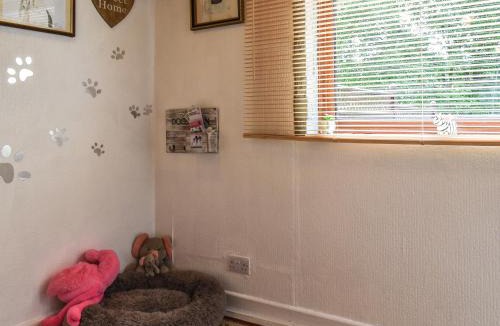 Blaenavon House | Zebra House