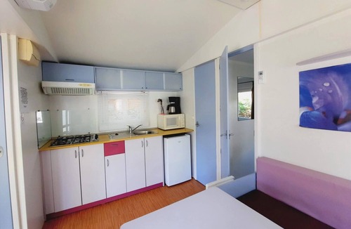 Saint-Jean-Pla-de-Corts House | ZEcamping 3* animé piscine chauffée locatif TV clim 26m2 4 pers