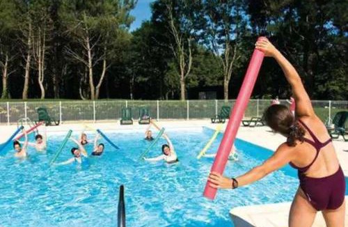 Malansac Ski Chalet | ZEcamping 3 étoiles animaux acceptés piscine et restaurant