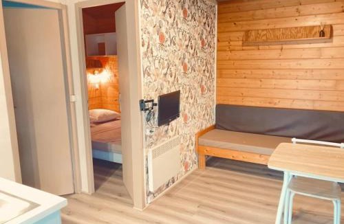 Montlaur Ski Chalet | ZEcamping 3 animaux acceptés avec piscine chauffée et couverte