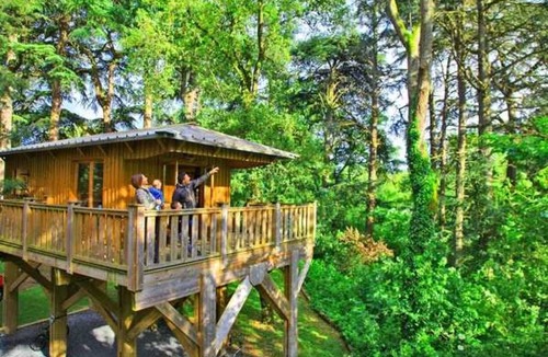 Albi House | ZEcamping 4* familial parc aquatique animaux acceptés locatif BBQ 24m2