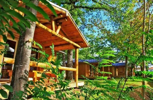Albi Ski Chalet | ZEcamping 4* parc aquatique animations locatif LV BBQ 30m2 4 pers