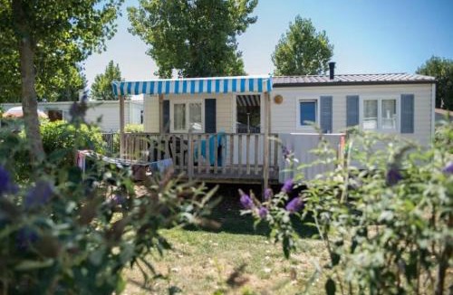 Angles Other | ZEcamping 4 pet friendly terrain multisports piscine couverte