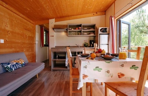 Caro Cabin | ZEcamping 4* piscine couverte locatif TV LV 30m2